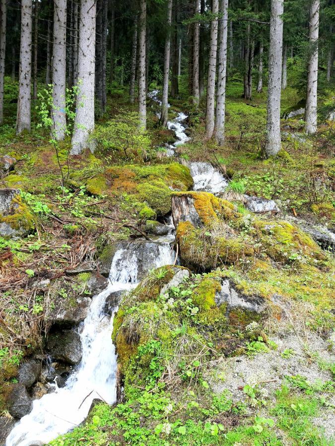 Sul Cucuzzolo Lägenhet Marilleva Exteriör bild